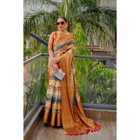 New Concept Organza Zari Weaving Saree with Anokhi Jaal Design