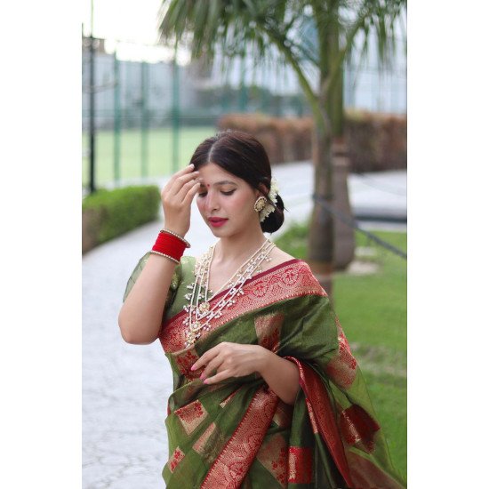 Green organza soft silk saree 