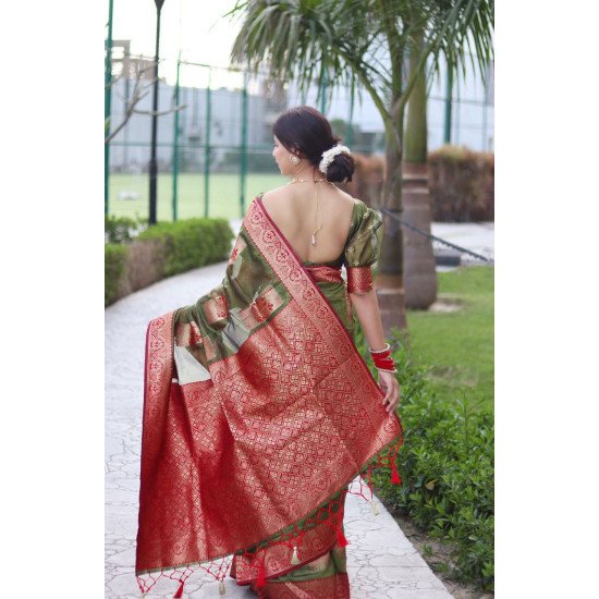 Green organza soft silk saree 