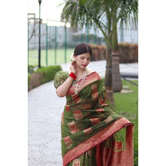 Green organza soft silk saree 