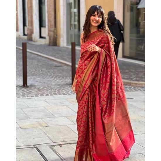 Designer red saree banarasi brocade with blouse