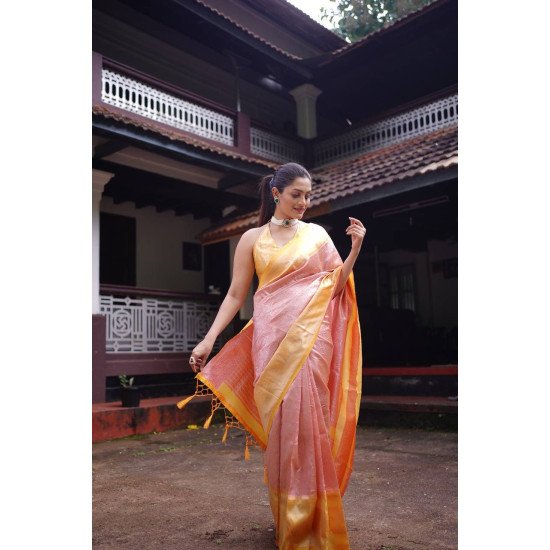 Mesmerizing Peach banarasi silver zari saree with contrast yellow blouse