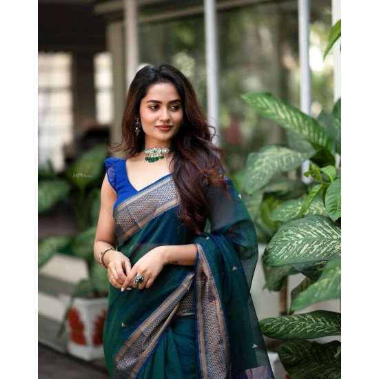 Gorgeous royal blue zari banarasi silk saree 